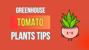 Master Greenhouse Tomato Plants – Bountiful Crops Guru Tips